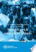 13.° Programa General de Trabajo (13.° PGT)