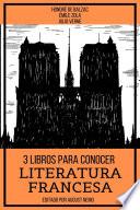 3 Libros para Conocer Literatura Francesa