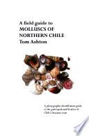 A Field Guide to Molluscs of Northern Chile