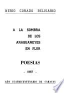 A la sombra de los araguaneyes en flor