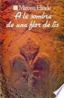 A la sombra de una flor de lis