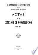 Actas de la Comisión de constitución (1916-1917).