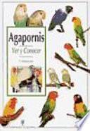 Agapornis