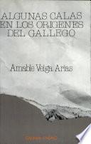 Algunas calas en los orígenes del gallego