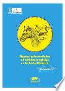 Algunas enfermedades de bovinos y equinos en la Costa Atlántica