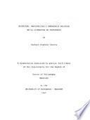 Alteridad, marginalidad y emergencia política en la literatura de testimonio