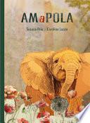 Amapola
