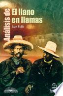 Análisis de El llano en llamas
