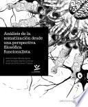 Análisis de la somatización desde una perspectiva filosófica funcionalista