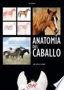 Anatomía del caballo: Guía práctica ilustrada