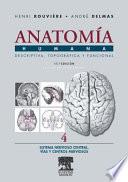 Anatomía humana, 11 ed. : descriptiva, topográfica y funcional : sistema nervioso central, vías y centros nerviosos