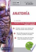 Anatomía
