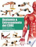 Anatomía y entrenamiento del core