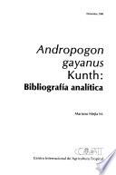 Andropogon gayanus Kunth