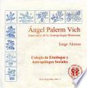 Ángel Palerm Vich
