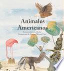 Animales Americanos