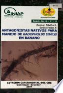 Antagonistas Nativos Para Manejo De Radopholus Similis En Banano