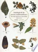Antología de las poetas estadounidenses