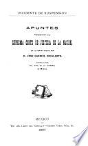 Apuntes presentados á la Suprema Corte de Justicia de la Nación, el el amparo pedido por D. Jose Gabriel Escalante, contra actos del Juez de lo criminal de Mérida
