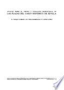 Apuntes sobre el origen y evolución morfológica de las plazas del casco histórico de Sevilla