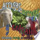 Arrugas, verrugas y colgajos