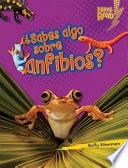 ÀSabes algo sobre anfibios? (Do You Know about Amphibians?)
