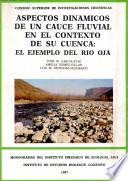 Aspectos dinámicos de un cauce fluvial en el contexto de su cuenca