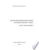 Aspectos microeconomicos introductorios del desarrollo regional y urbano