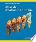 Atlas de anatoma humana / Atlas of Human Anatomy