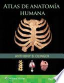 Atlas de Anatomía Humana
