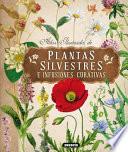 Atlas Ilustrado de Plantas Silvestres E Infusiones Curativas