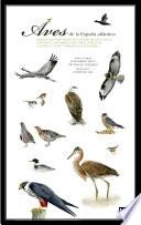 Aves de la España atlántica