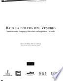 Bajo la cólera del Vesubio
