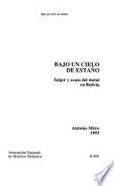 Bajo un cielo de estaño