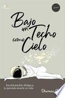 Bajo un techo como cielo