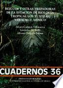Bejucos y otras trepadoras de la Estación de Biología Tropical Los Tuxtlas, Veracruz, México