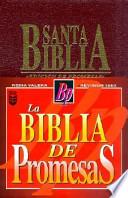 Biblia de Promesas