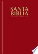 Biblia De Promesas/the Promise Bible
