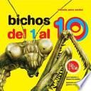 Bichos del 1 al 10