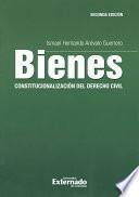 BIENES: CONSTITUCIONALIZACIÓN DEL DERECHO CIVIL - 2DA. EDICIÓN