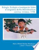 Biología, Ecología E Investigación Sobre El Langostino De Río Macrobrachium Carcinus. Linnaeus, 1758.
