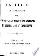 Boletín de la Comisión Panamericana de Cooperación Intermunicipal