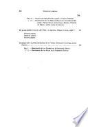 Boletín de la Real Academia de la Historia