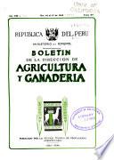 Boletín