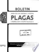 Boletín