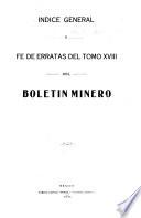 Boletin minero