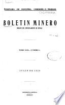 Boletin minero