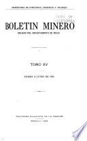 Boletin minero