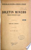 Boletin minero