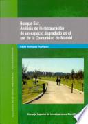 Bosque sur